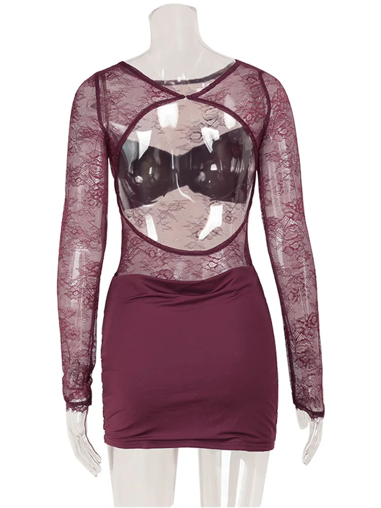 Sheer Lace Long Sleeve Bodycon Dress