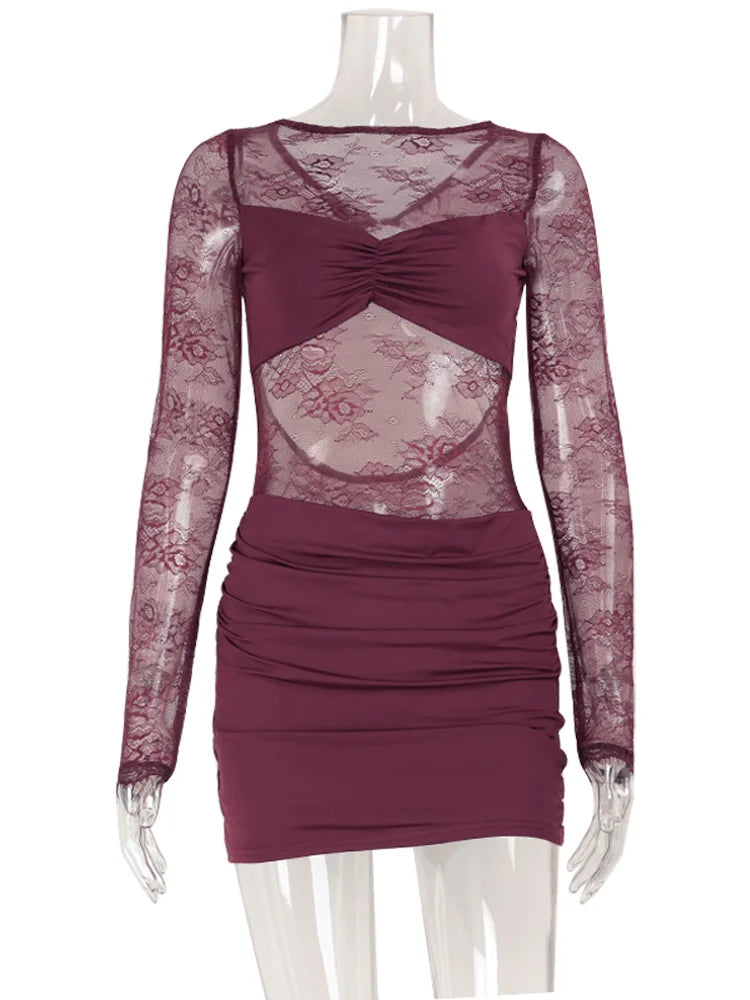 Sheer Lace Long Sleeve Bodycon Dress